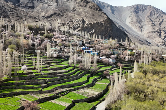 Skardu-Fairymeadows Standard Package