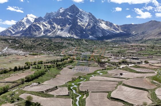 Thorche Meadow Skardu